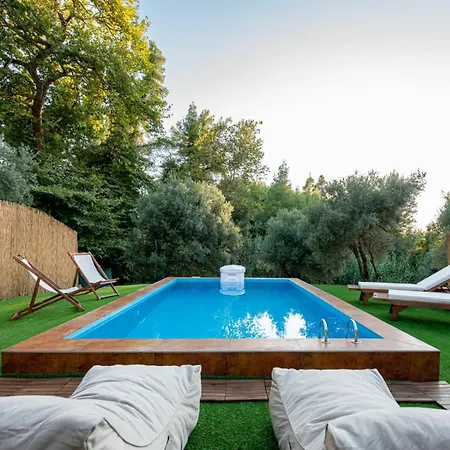 Olive Luxury