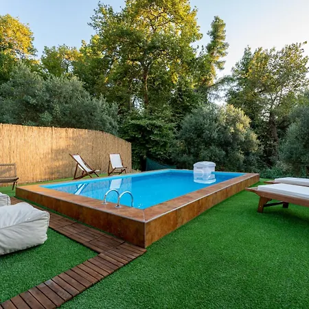 Σπίτι διακοπών Olive Luxury Παλιούρι