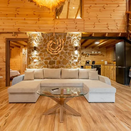Olive Luxury Ferienhaus Paliouri