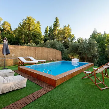 Olive Luxury